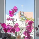 Apartmán El Espiritu De *