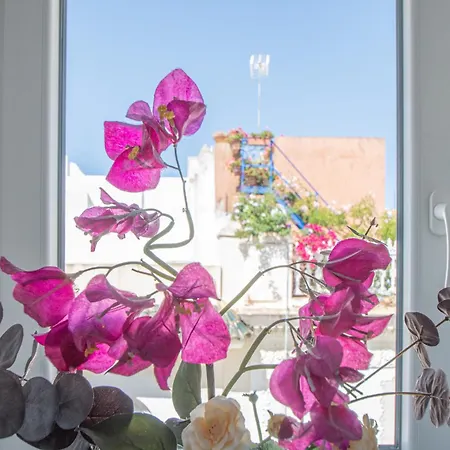 Apartment El Espiritu De *